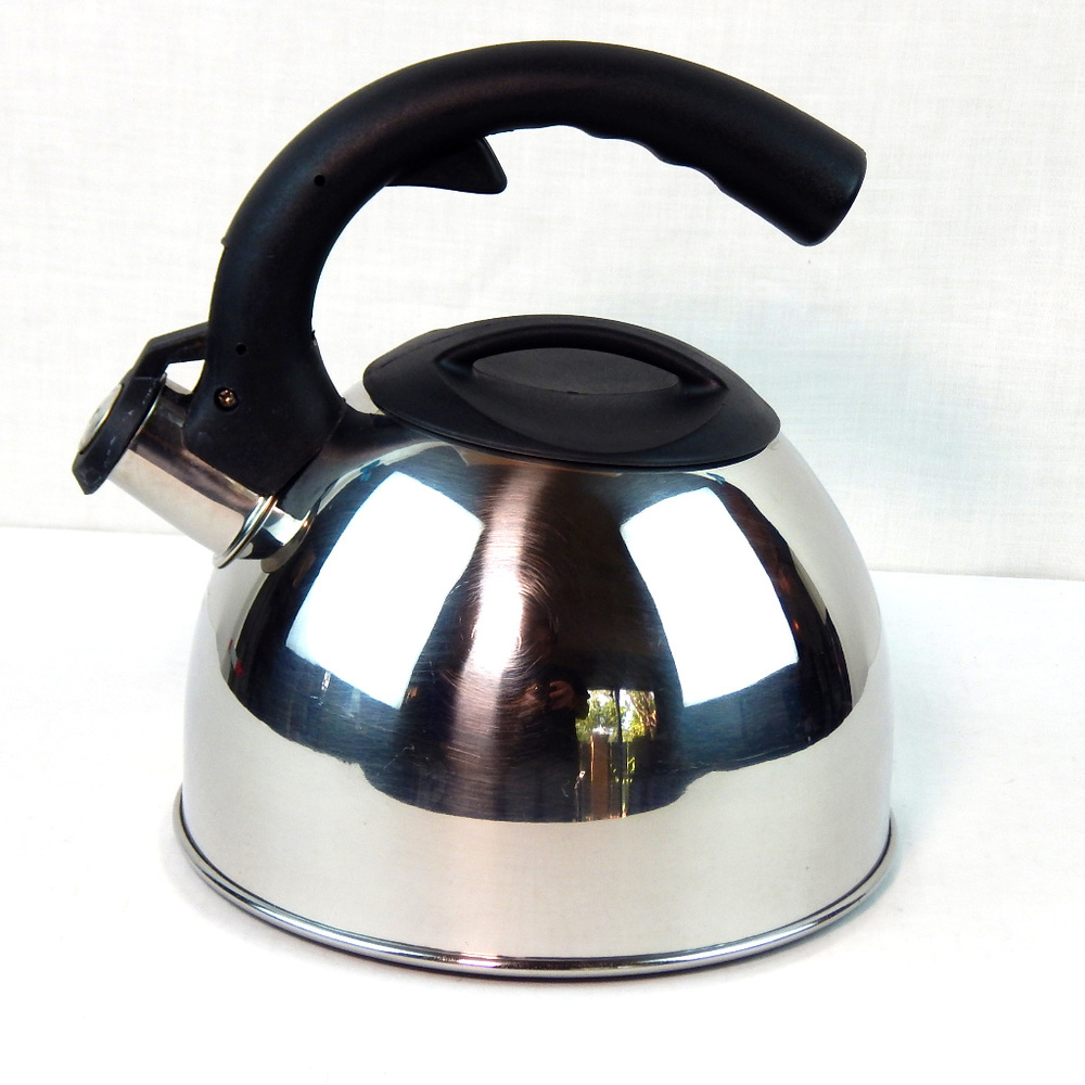 Mr Coffee Stainless Tea Kettle Pot Whistling